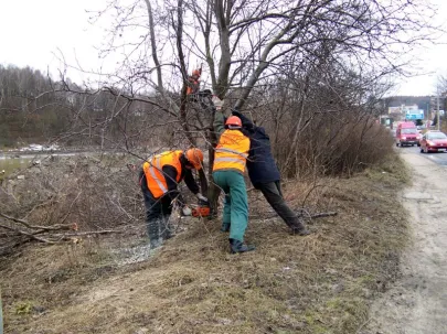 Wycinka drzew pod Trasę Słowackiego