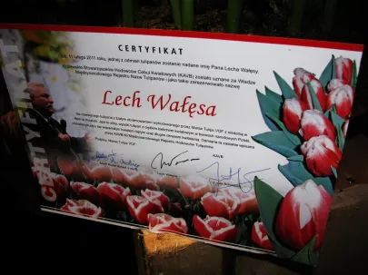 Wystawa Tulipanów- Gdańsk 11.02.2011
