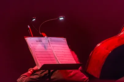 2Cellos