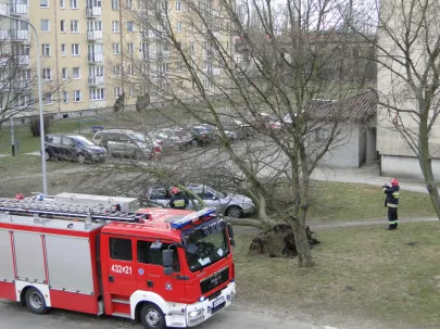 Gdynia, Dantyszka cd.