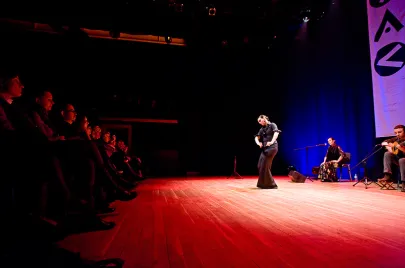 Compania Flamenca Los Payos
