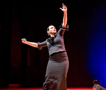 Compania Flamenca Los Payos