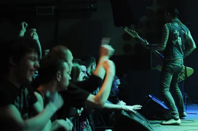 U.K. Subs i The Vibrators