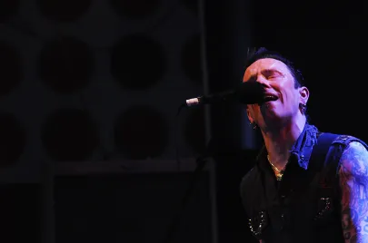 U.K. Subs i The Vibrators