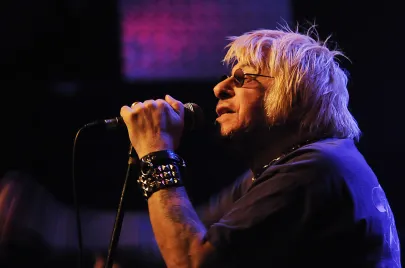 U.K. Subs i The Vibrators