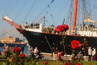 Żaglowiec Sedov przypłynął do Gdyni