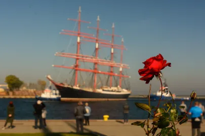Żaglowiec Sedov przypłynął do Gdyni