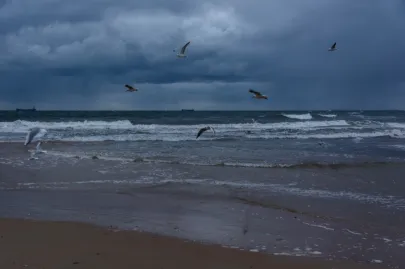Wietrzny poranek nad Zatoką Gdańską