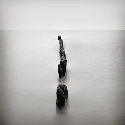 SeaScape