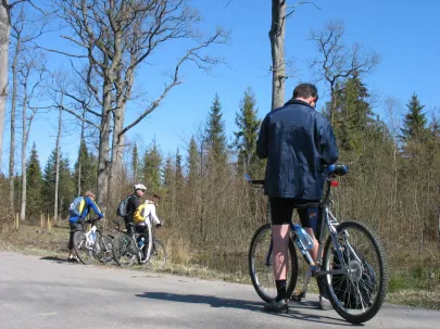na początkowym odcinku maratonu