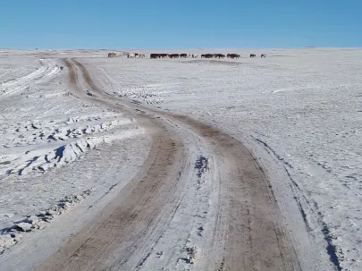 Mongolia Step styczeń 2018