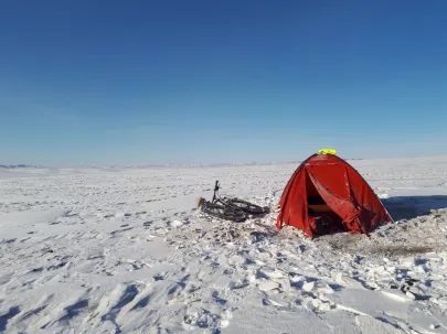 Mongolia Step styczeń 2018
