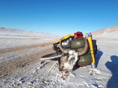 Mongolia Step styczeń 2018