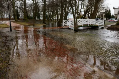 Wichura nad Zatoką Gdańską