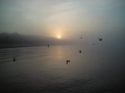 Plaża