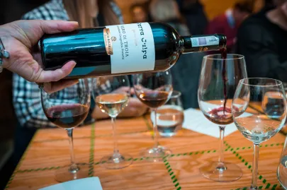 La Vigne Di Sammarco, "Perva Culpa" Nero Di Troia IGP 2016