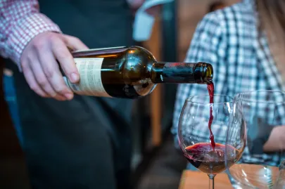 Cantina Ionis, "Acanto" Primitivo Salento IGP 2017