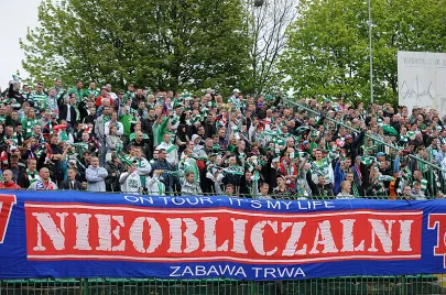 Kibice