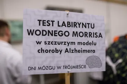 Test labiryntu wodnego Morrisa