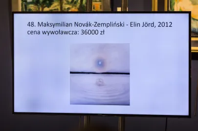 Maksymilian Novák-Zempliński - Elin Jörd