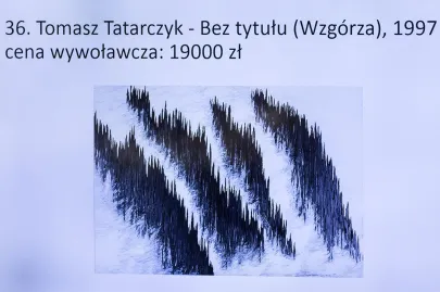 Tomasz Tatarczyk - Bez Tytułu (Wzgórza)