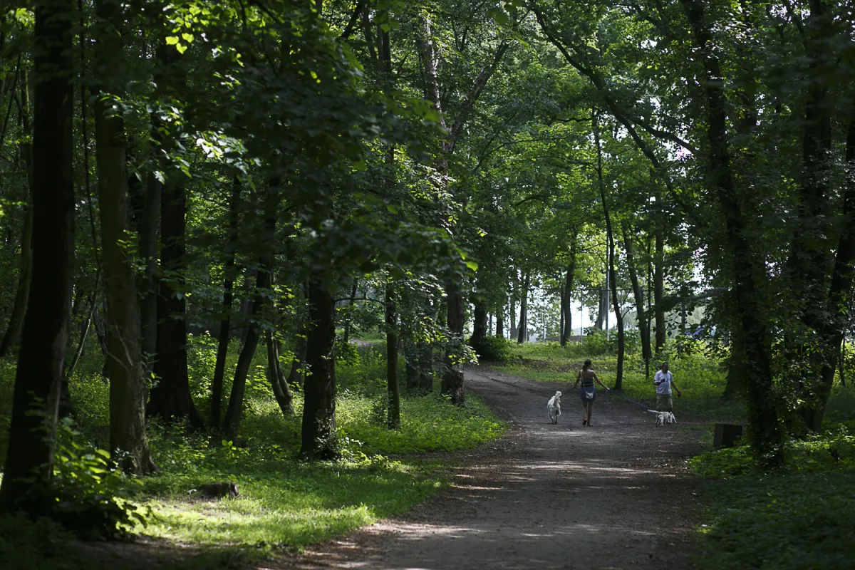 Park Brzeźnieński