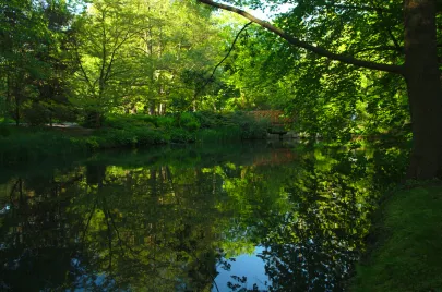 Park Oliwski