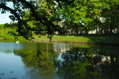 Park Oliwski