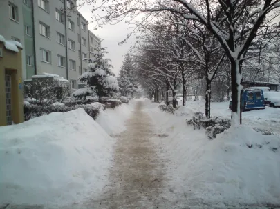 zima