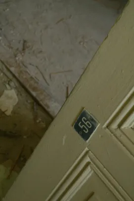 56
