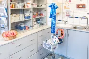 26.09.2019 Przekazanie przez przedstawicieli V LO w Gdańsku Szpitalowi Dziecięcemu Polanki sprzętu zakupionego dzięki zbiórce pieniędzy 