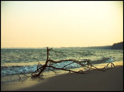 Plaża w Orłowie