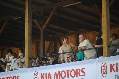 Wyścigi konne na Hipodromie