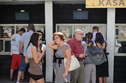 Wyścigi konne na Hipodromie