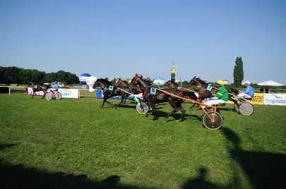 Wyścigi konne na Hipodromie