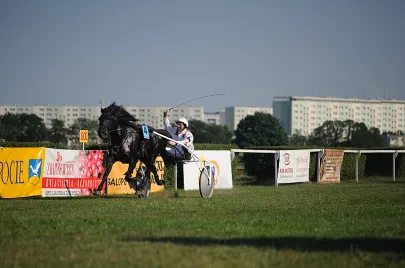 Wyścigi konne na Hipodromie