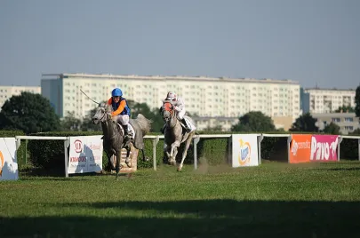 Wyścigi konne na Hipodromie
