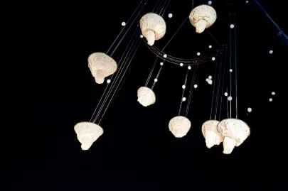 Theater Tol (Belgia) "Corazon de Angeles" 