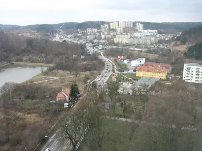 Niedżwiednik