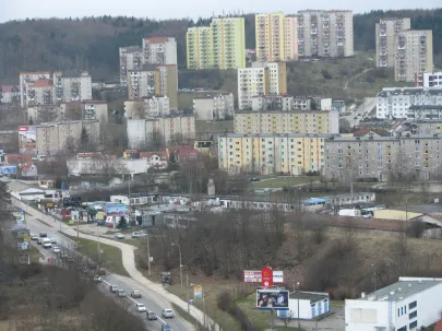 Niedżwiednik