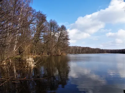 Przedwiośnie na Gdańskich Stogach.