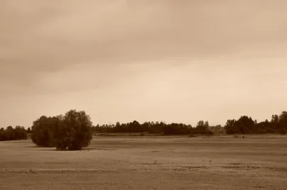 dożynki coraz bliżej