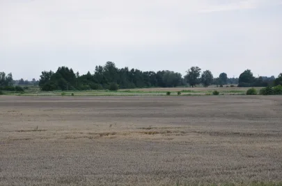 dożynki coraz bliżej