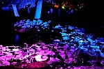 MOZARTIANA 2011 GDAŃSK OLIWA