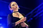 Mozart al chiaro di luna