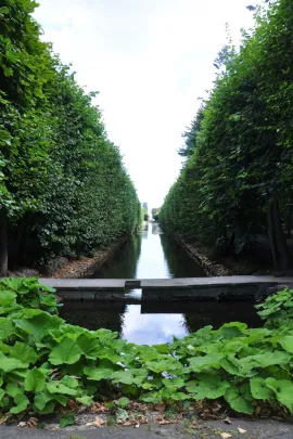 Park Oliwski
