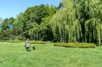 Park na Kamiennej Górze