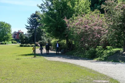 Park na Kamiennej Górze