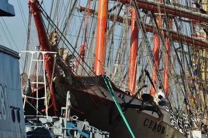 The Culture 2011 Tall Ships Regatta