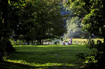 Park Kolibki w Orłowie
